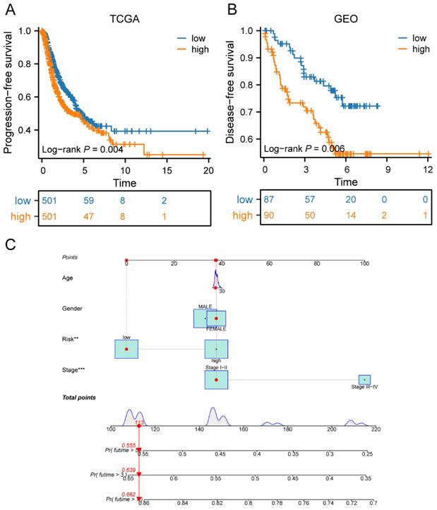 J Cancer Image