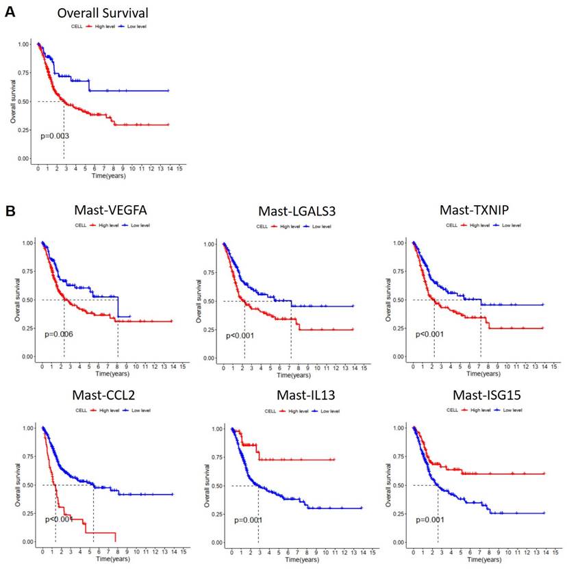 J Cancer Image