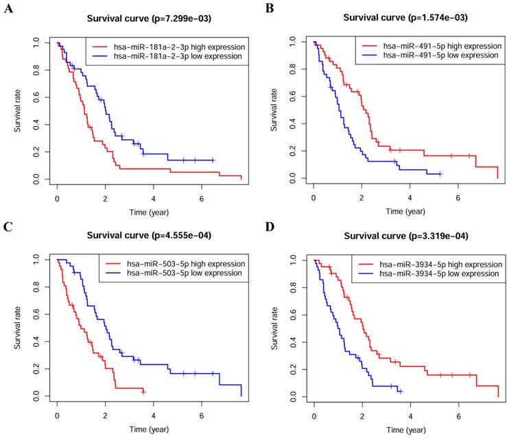J Cancer Image