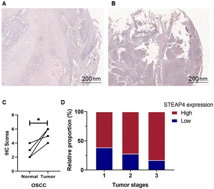 J Cancer Image
