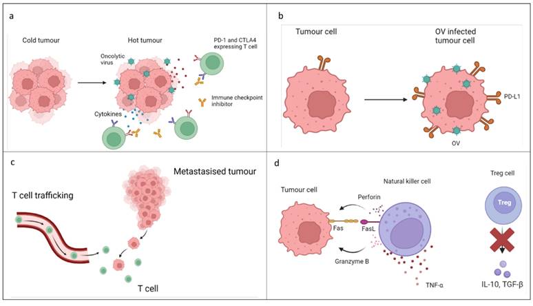 J Cancer Image
