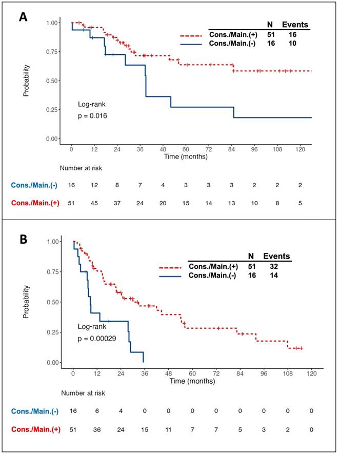 J Cancer Image