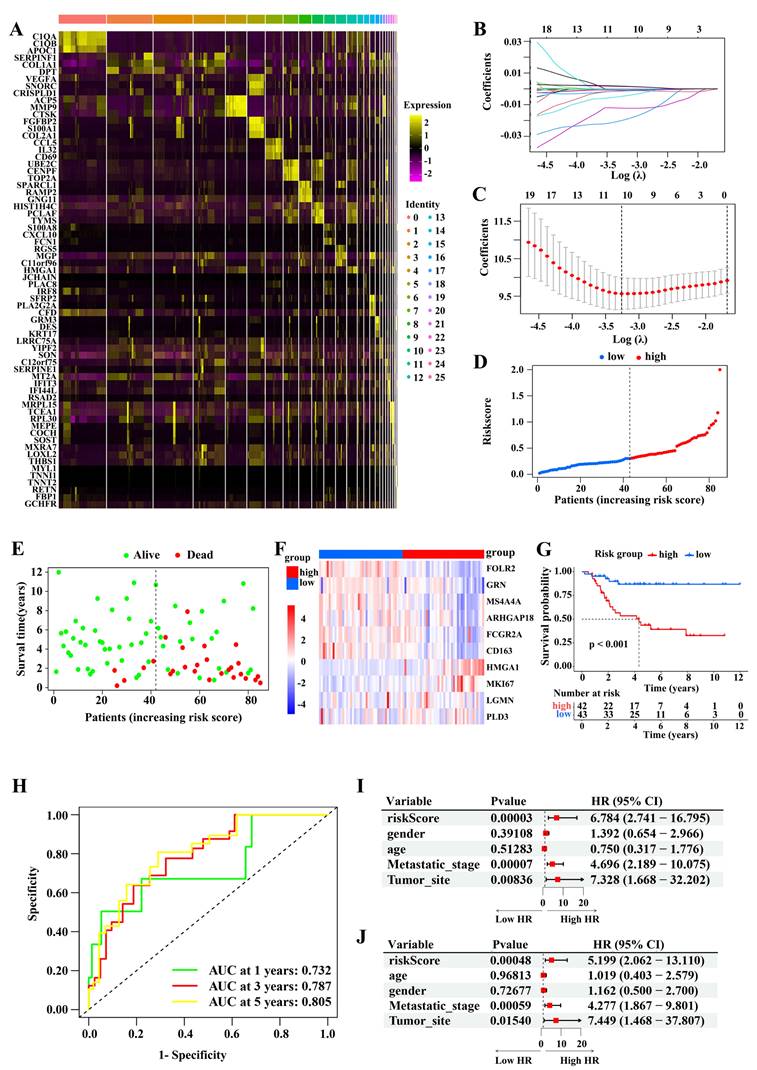 J Cancer Image