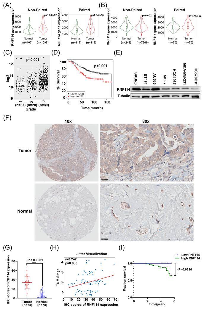 J Cancer Image