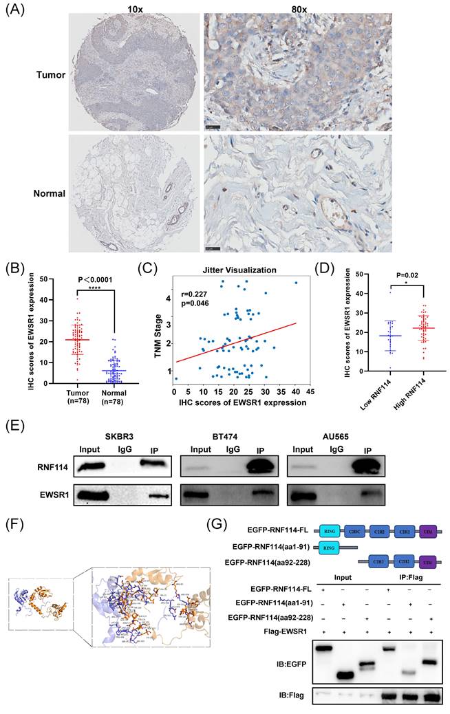 J Cancer Image