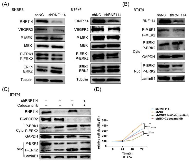 J Cancer Image