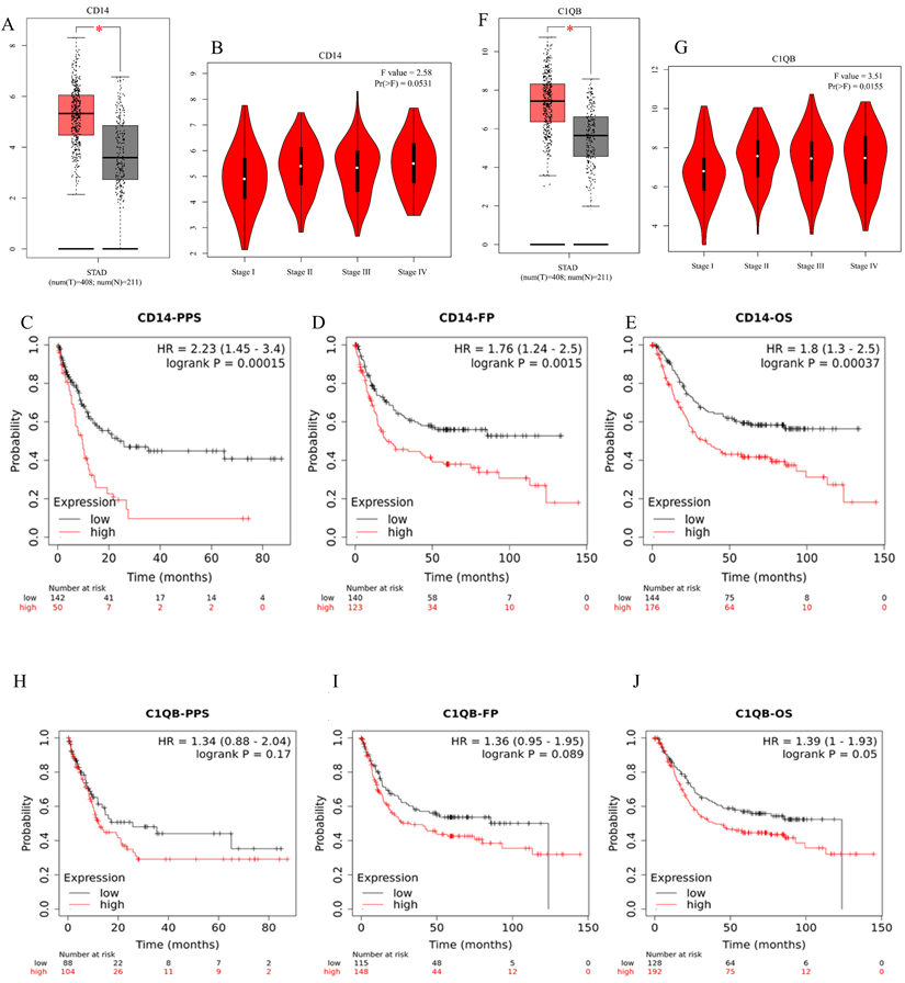 J Cancer Image
