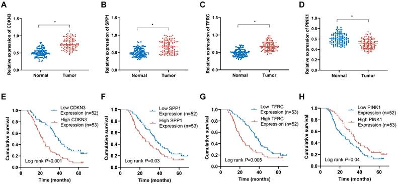 J Cancer Image