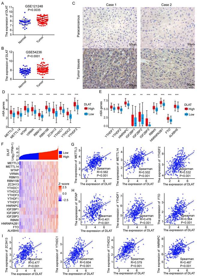 J Cancer Image