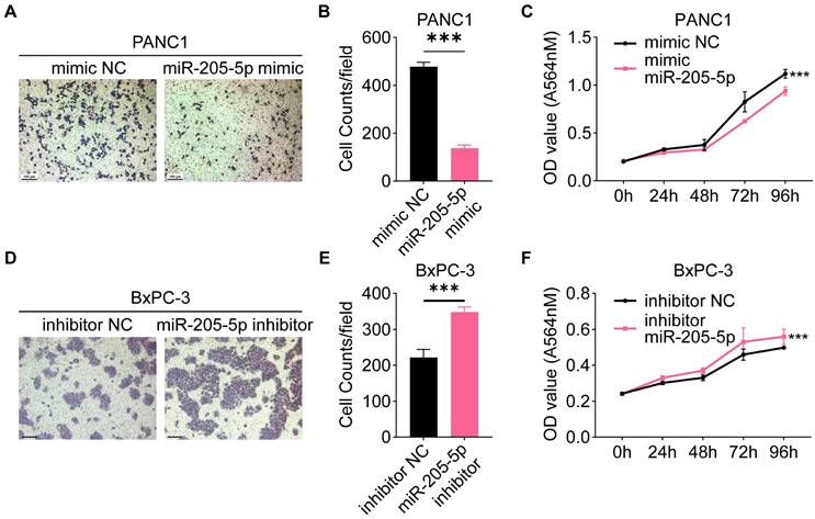 J Cancer Image
