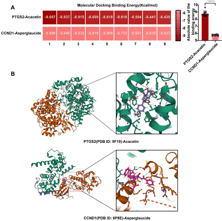 J Cancer Image