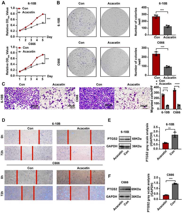 J Cancer Image