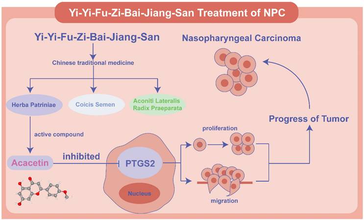 J Cancer Image