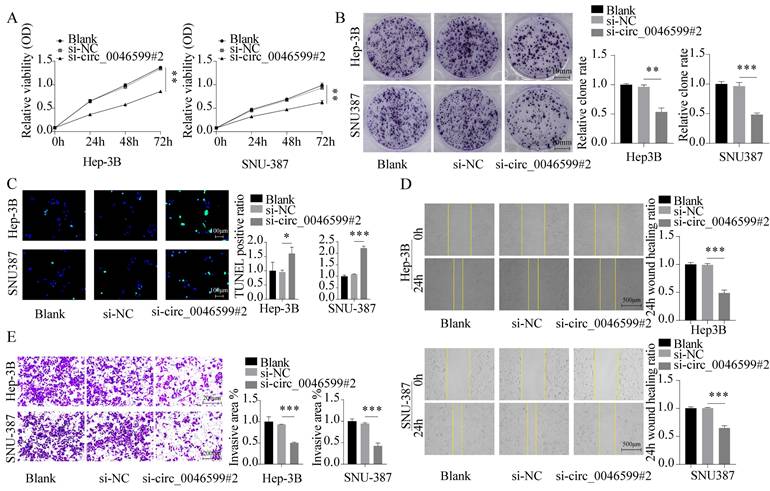 J Cancer Image
