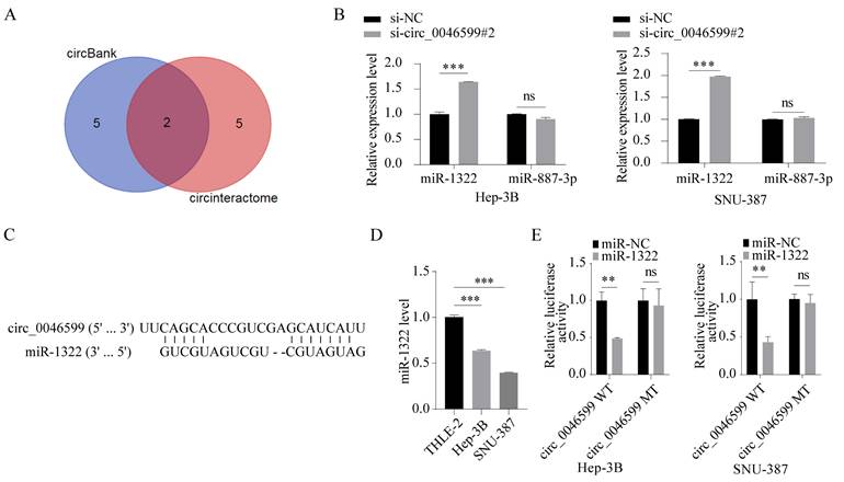 J Cancer Image