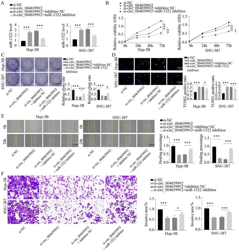 J Cancer Image