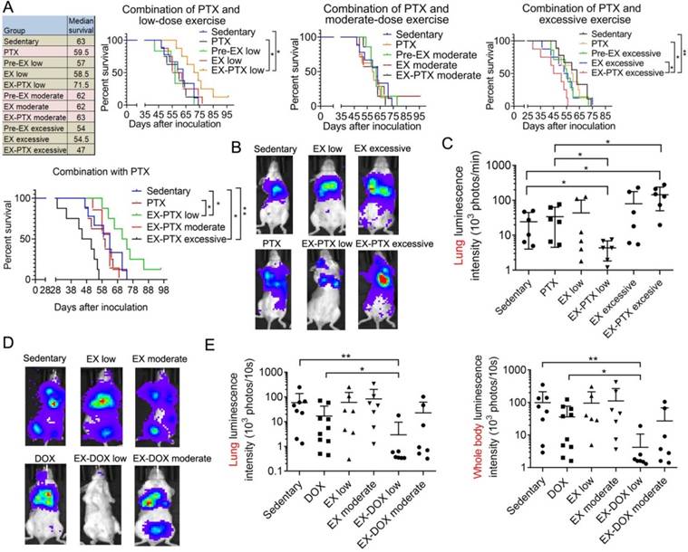J Cancer Image