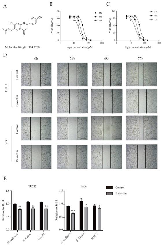 J Cancer Image