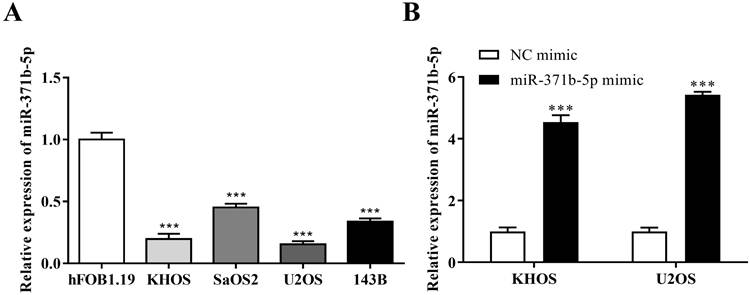 J Cancer Image