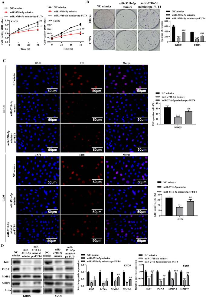 J Cancer Image