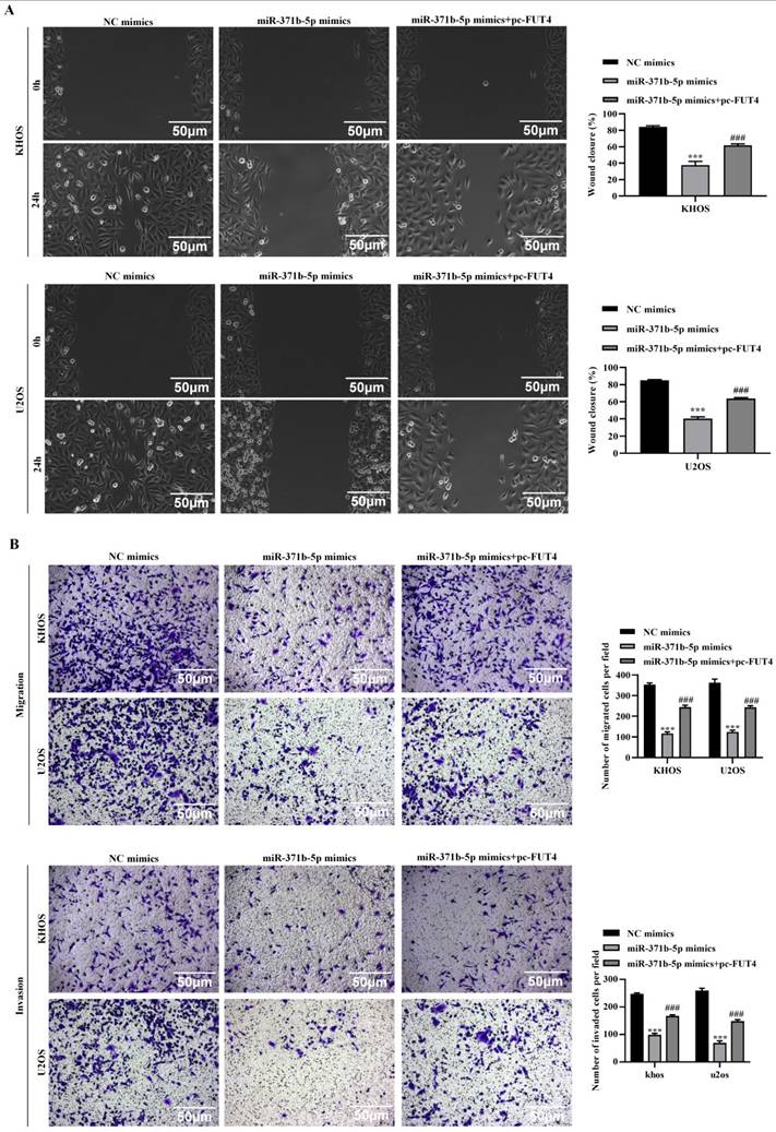 J Cancer Image