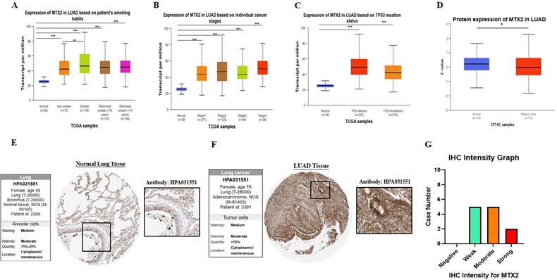 J Cancer Image