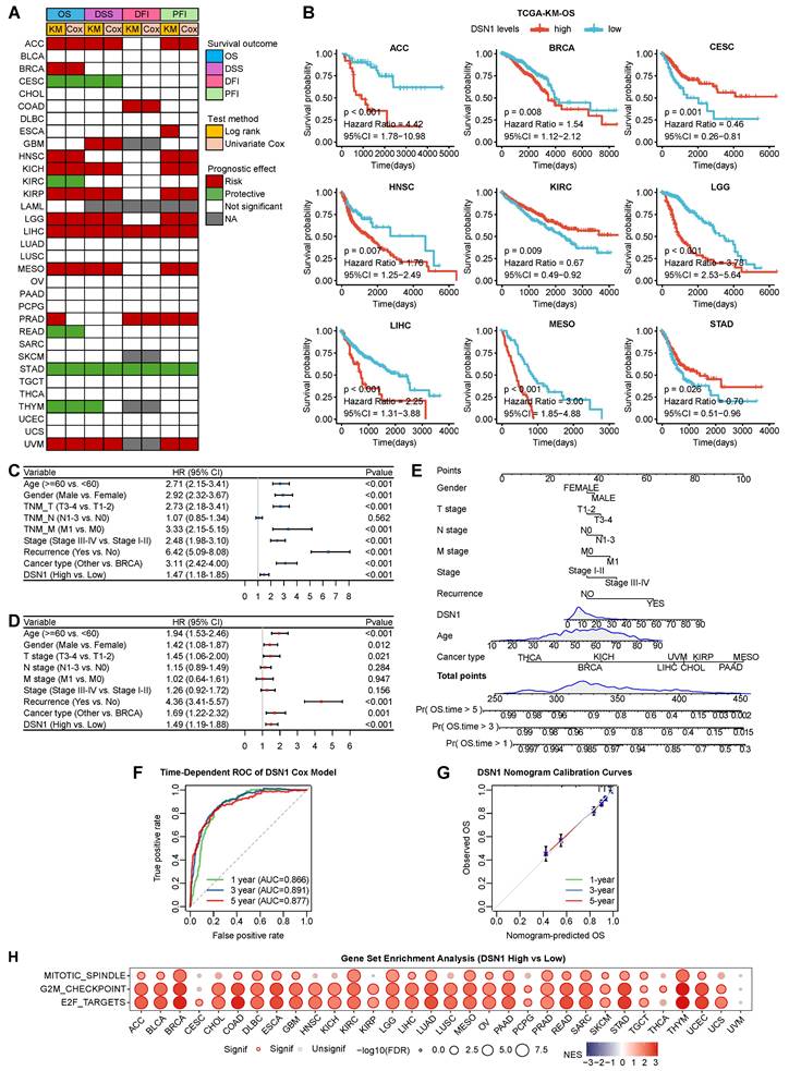 J Cancer Image