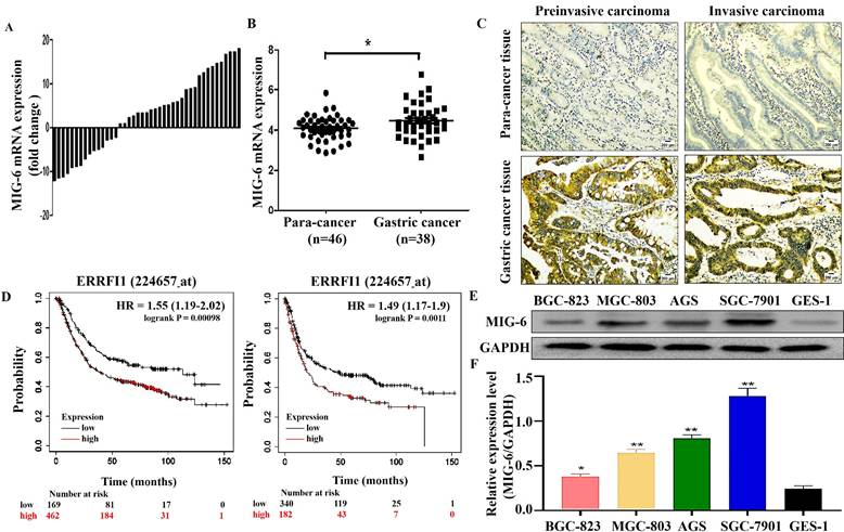J Cancer Image