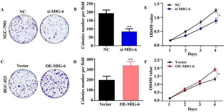 J Cancer Image