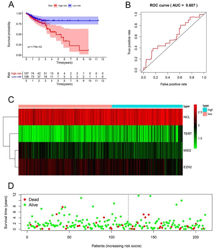 J Cancer Image