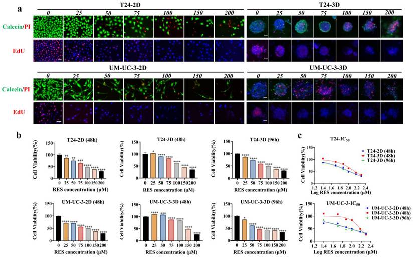 J Cancer Image