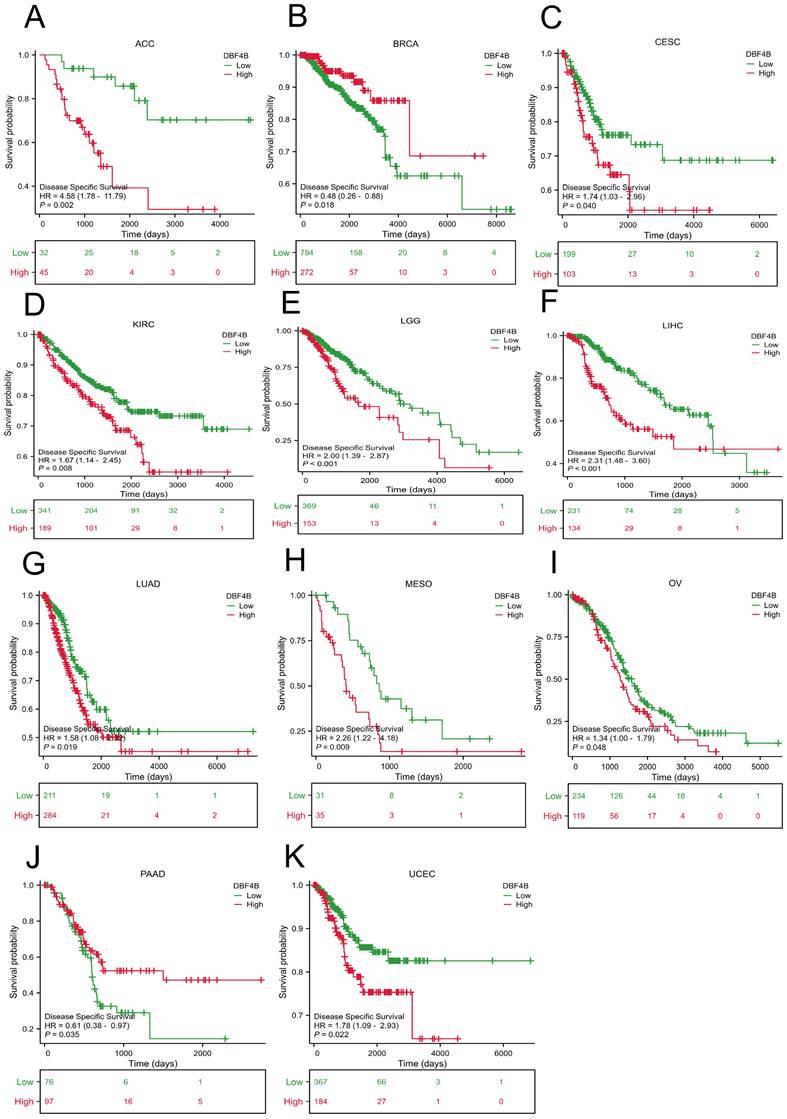 J Cancer Image