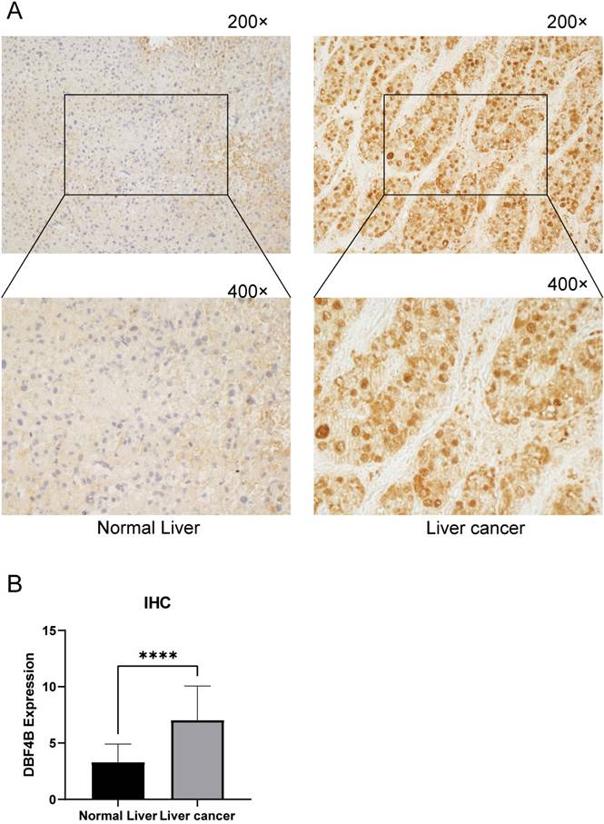 J Cancer Image