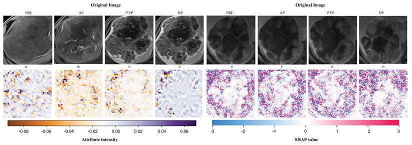 J Cancer Image