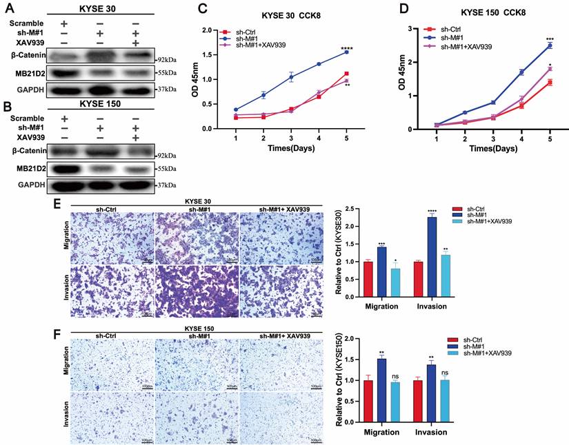 J Cancer Image