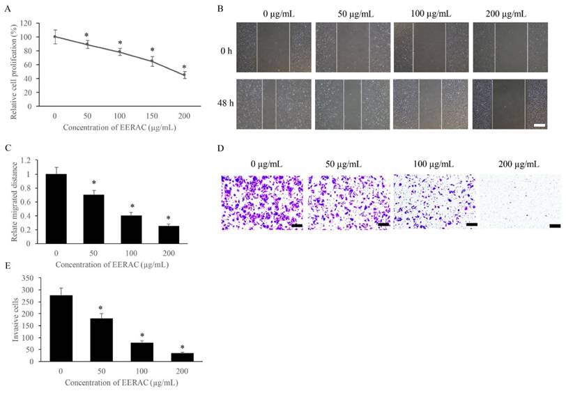 J Cancer Image