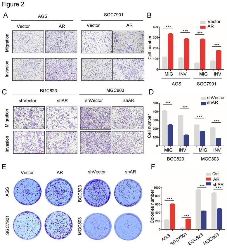 J Cancer Image