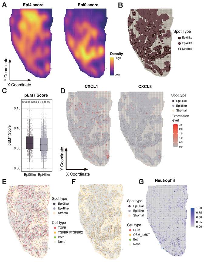 J Cancer Image