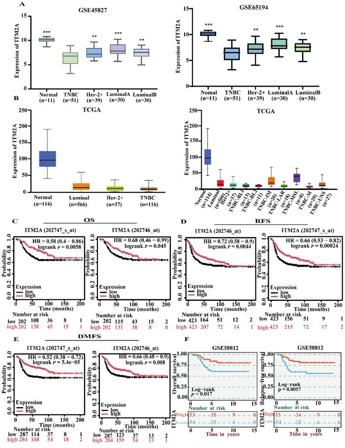 J Cancer Image