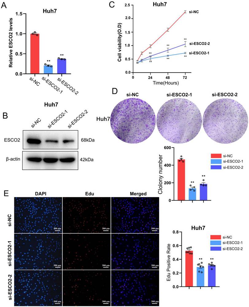 J Cancer Image