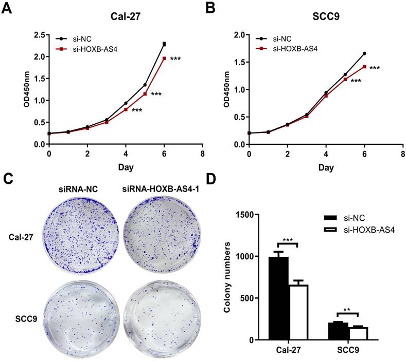 J Cancer Image
