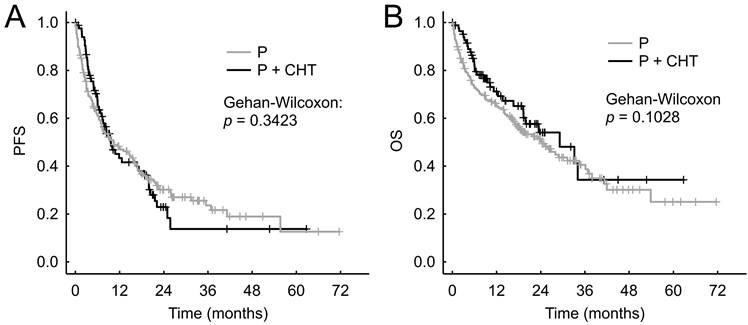 J Cancer Image