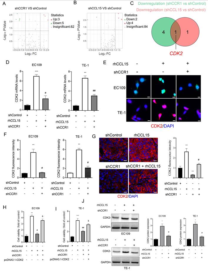 J Cancer Image