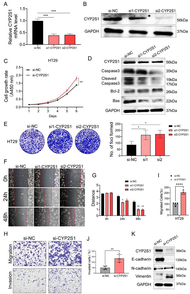 J Cancer Image