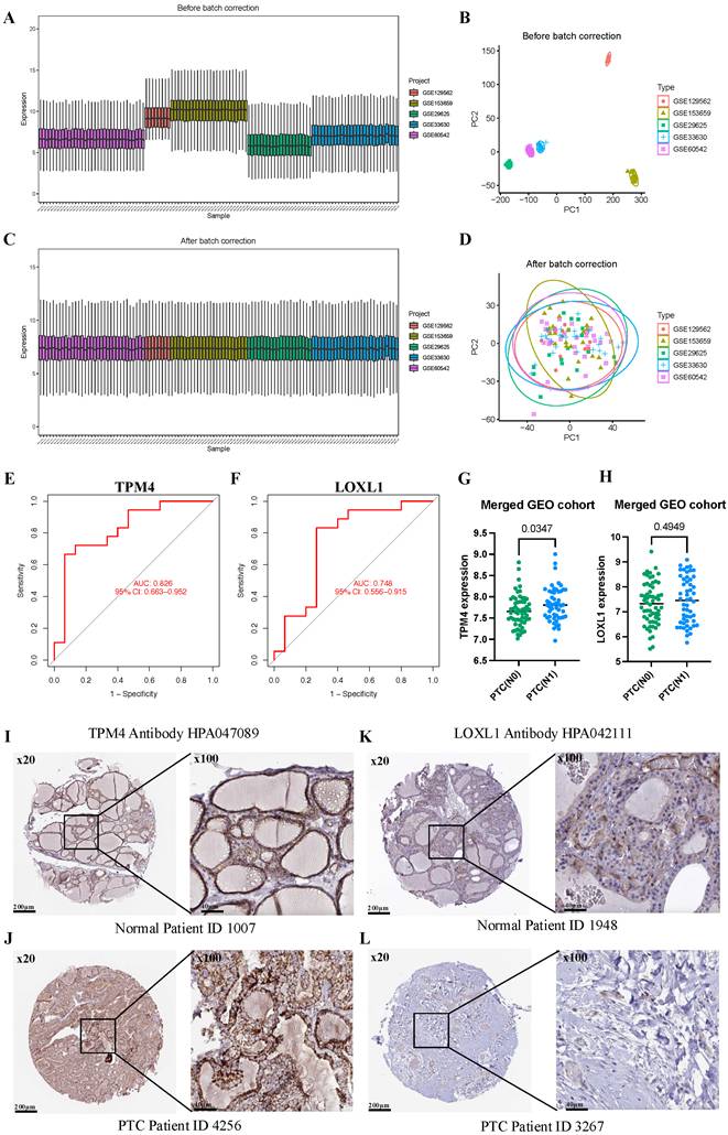J Cancer Image