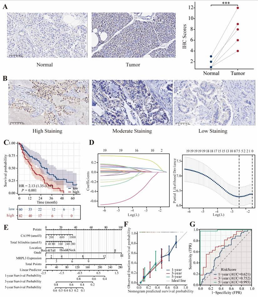 J Cancer Image