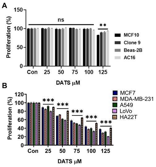 J Cancer Image