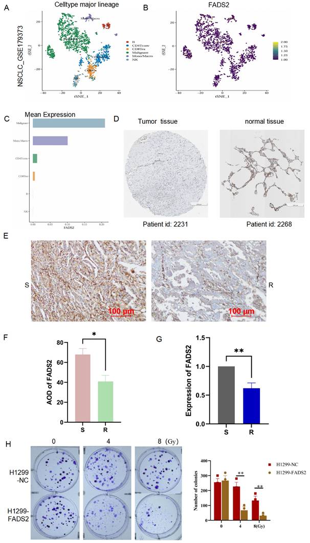 J Cancer Image