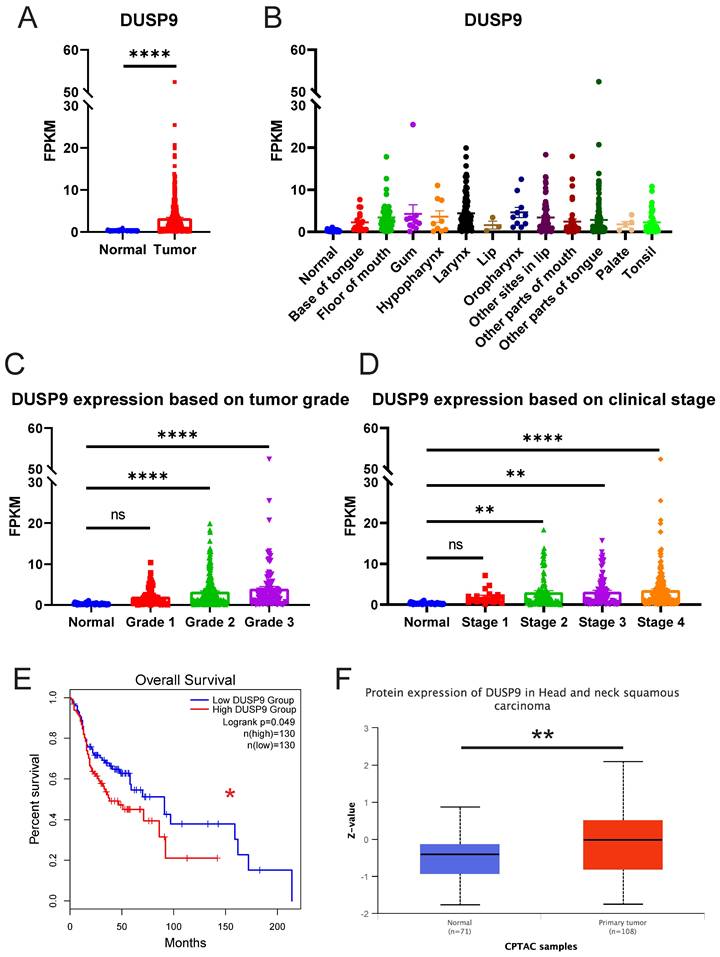 J Cancer Image