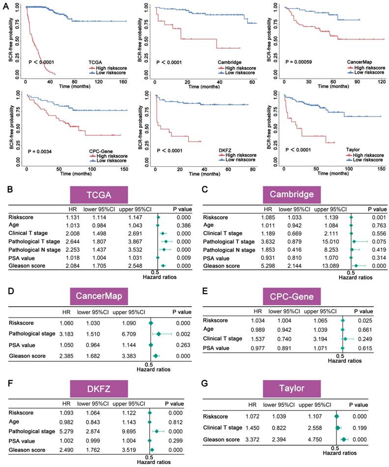 J Cancer Image